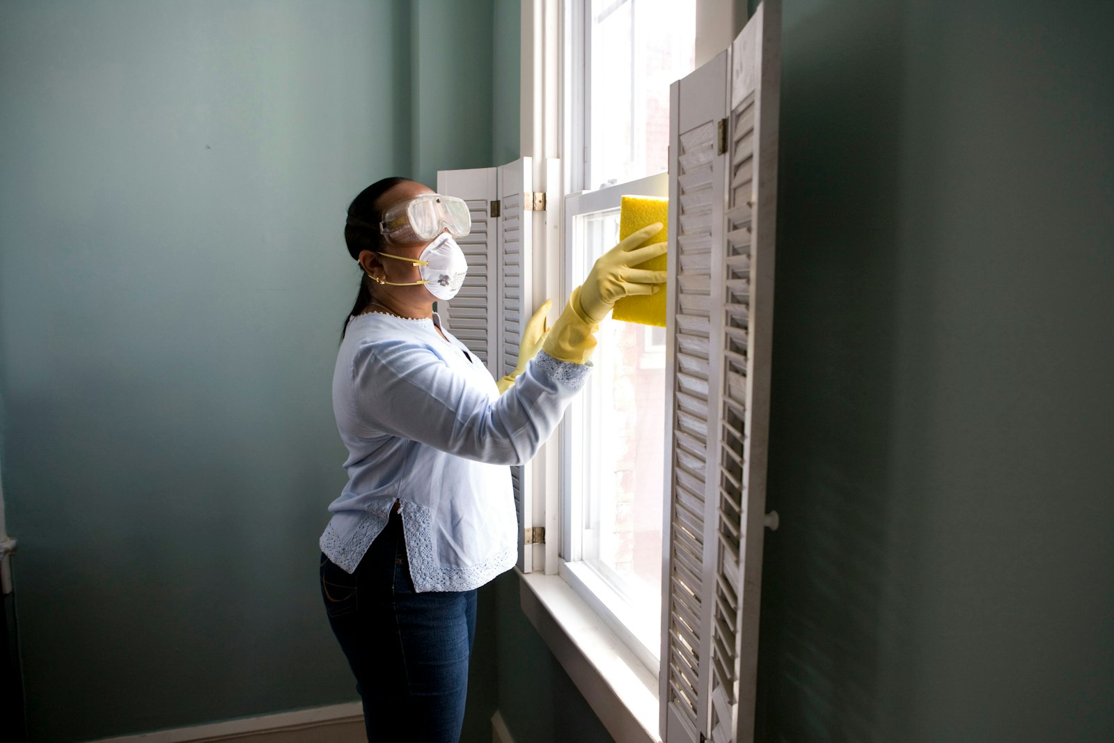 Mold Remediation service in Saint Petersburg, FL