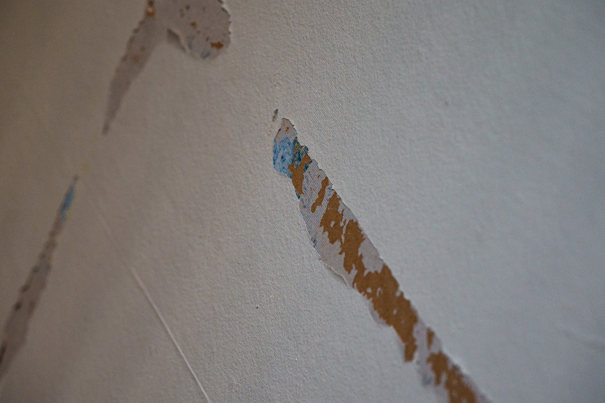Commercial Water Damage service in Saint Petersburg, FL